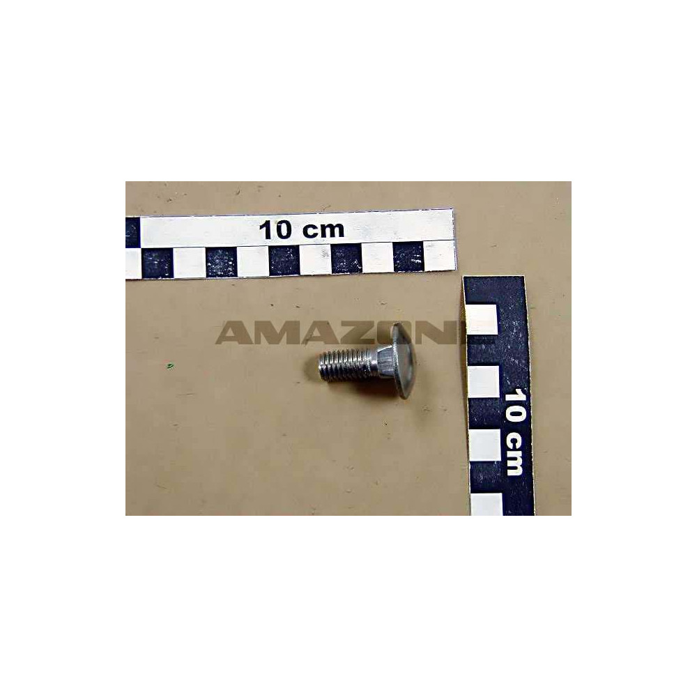 Vis 10X 25 8677 8.8 A2-70 DA351 Amazone