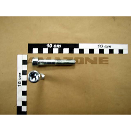 VIS 12X 70 4762 8.8 A2G Réf. DA356 AMAZONE VIS 12X 70 4762 8.8 A2G Réf. DA356 AMAZONE