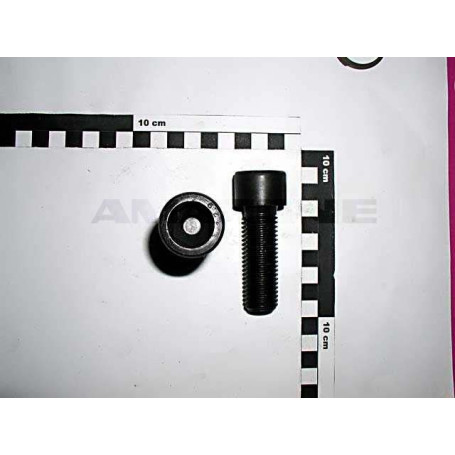 VIS 20X 60 912 12.9 A2G Réf. DA338 AMAZONE VIS 20X 60 912 12.9 A2G Réf. DA338 AMAZONE