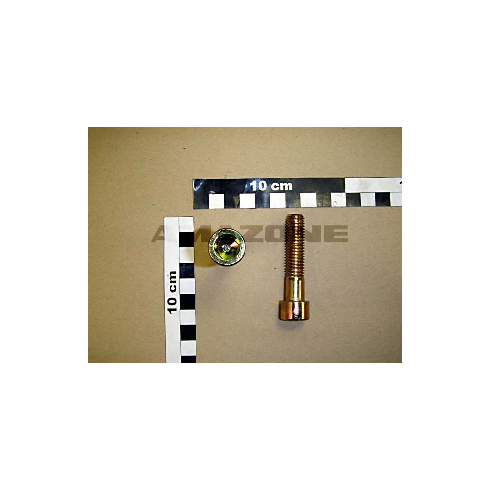 Vis 12X 55 4762 8.8 A2G DA371 Amazone