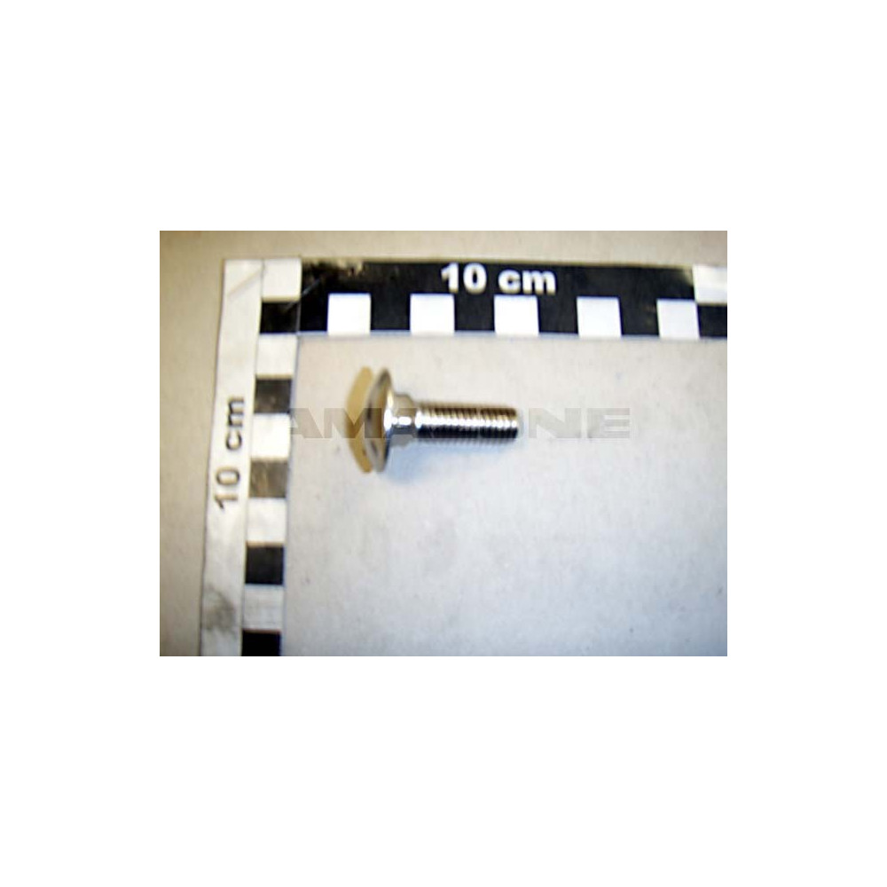 Vis 10X 30 8677 8.8 A2-70 DA421 Amazone