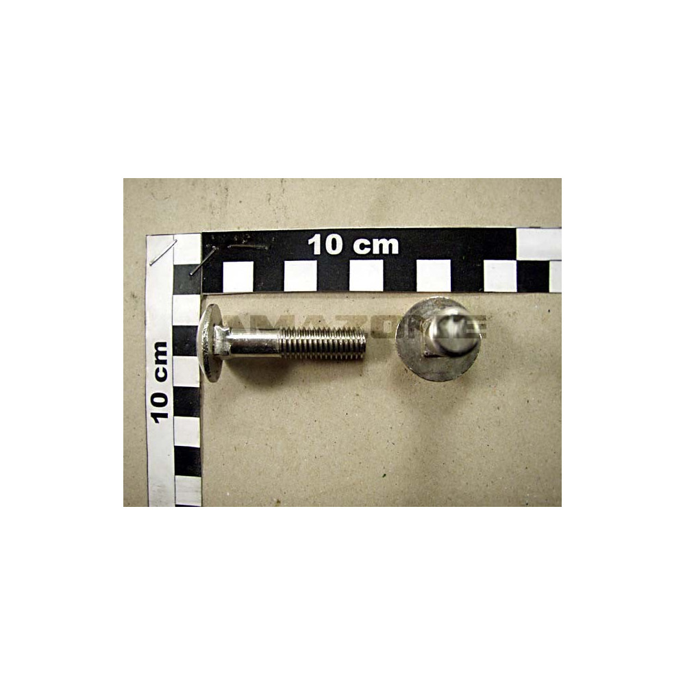 Vis 10X 45 8677 A2-70 DA425 Amazone