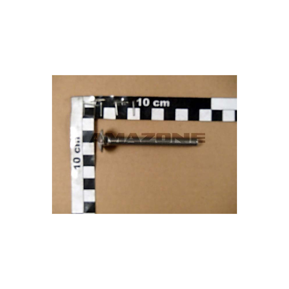 Vis 8 X 80 A2-70 DA434 Amazone