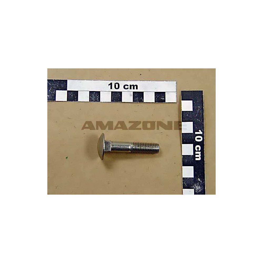 Vis 10X 50 8677 A2-70 DA448 Amazone