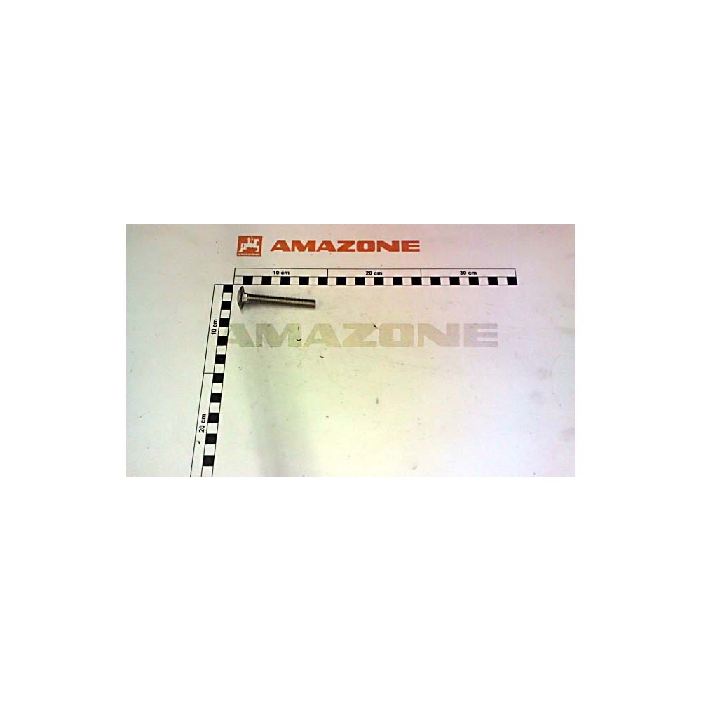 Vis 10X75 A2-70 DA449 Amazone