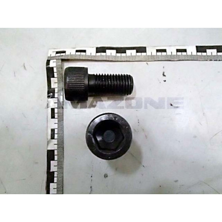 Vis 20 X 40 10.9 Réf. DA457 - AMAZONE Vis 20 X 40 10.9 Réf. DA457 - AMAZONE