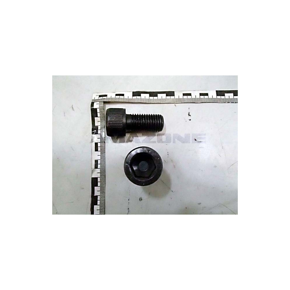 Vis 20 X 40 10.9 DA457 Amazone
