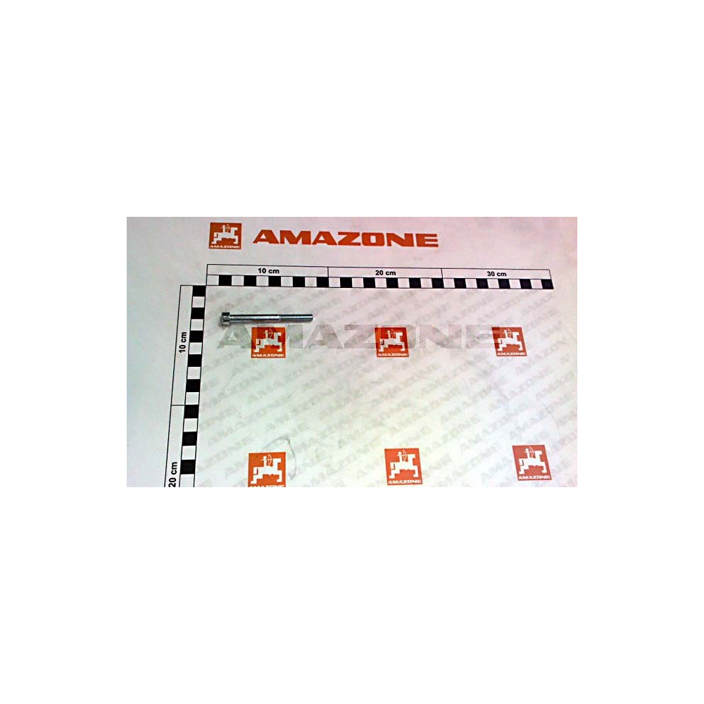 Vis 06X 65 4762 8.8 A2G ED DA469 Amazone