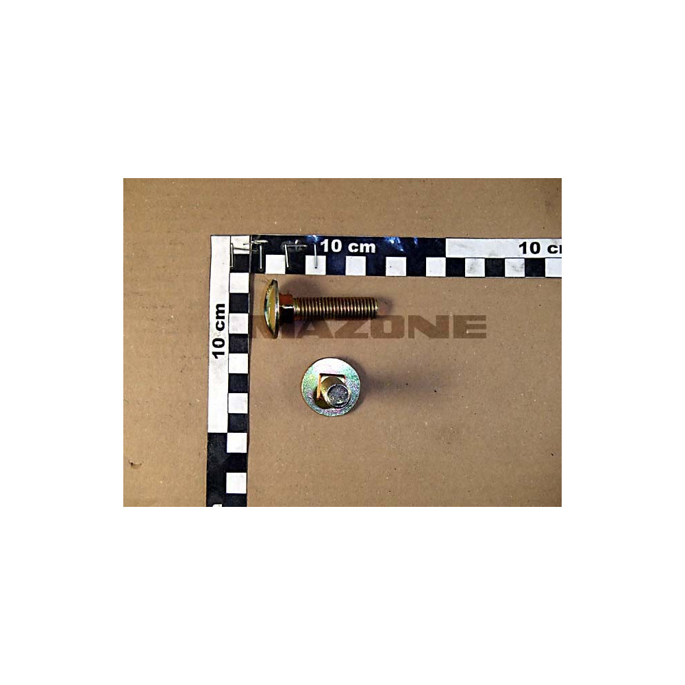 Vis 12X 50 8677 8.8 A2G DA481 Amazone