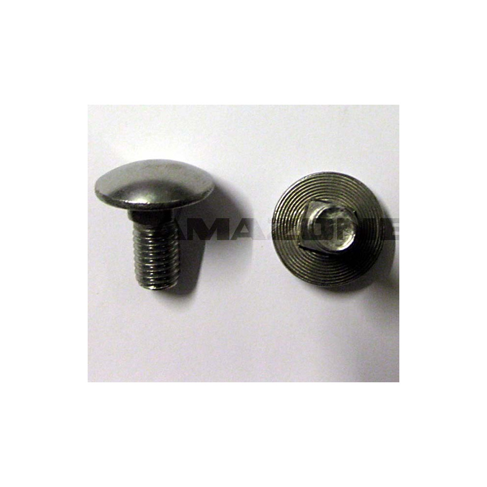 Vis 12X 25 8677 8.8 A2-70 DA494 Amazone