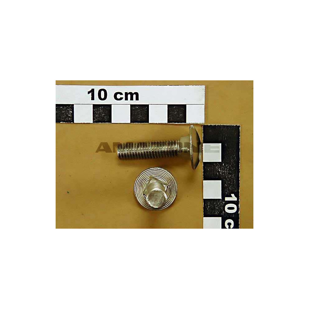 Vis 10X 40 8677 A2-70 DA495 Amazone