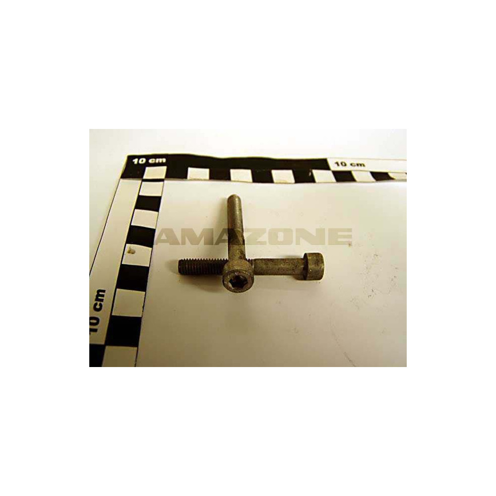 Vis 06X 30 4762 A2-70 DA520 Amazone