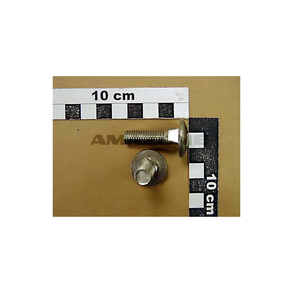 Vis 10X 35 8677 A2-70 DA521 Amazone