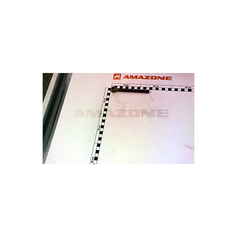 Vis 10X120 444LB 8.8 A2G DA550 Amazone