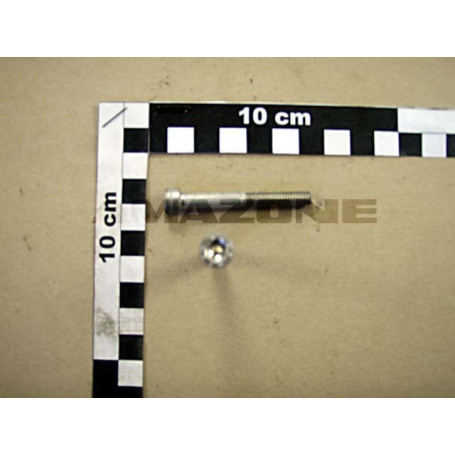 Vis 06X 50 4762 A2-70 Réf. DA558 - AMAZONE Vis 06X 50 4762 A2-70 Réf. DA558 - AMAZONE
