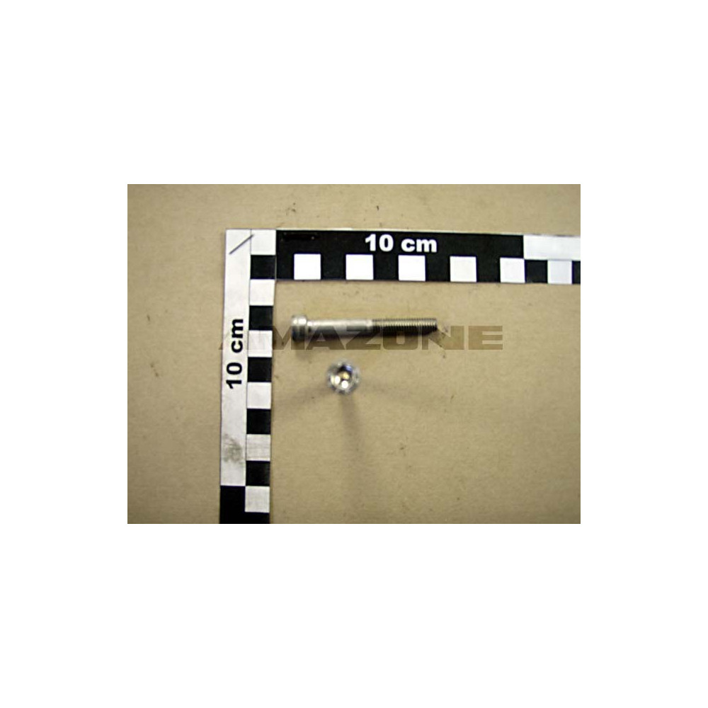 Vis 06X 50 4762 A2-70 DA558 Amazone