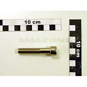 Vis 10X55 A2-70 allen DA560 Amazone