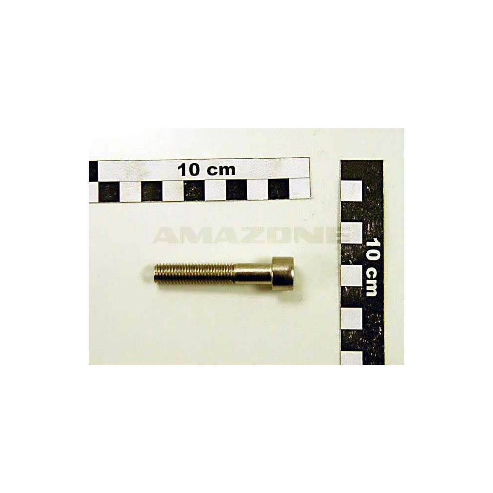 Vis 10X55 A2-70 allen DA560 Amazone
