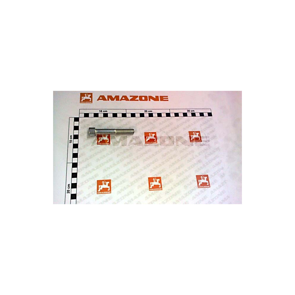 Vis 12 X 80 10.9 DA563 Amazone
