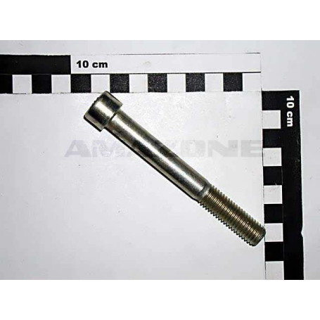 VIS 12X100 10.9 Réf. DA564 AMAZONE VIS 12X100 10.9 Réf. DA564 AMAZONE