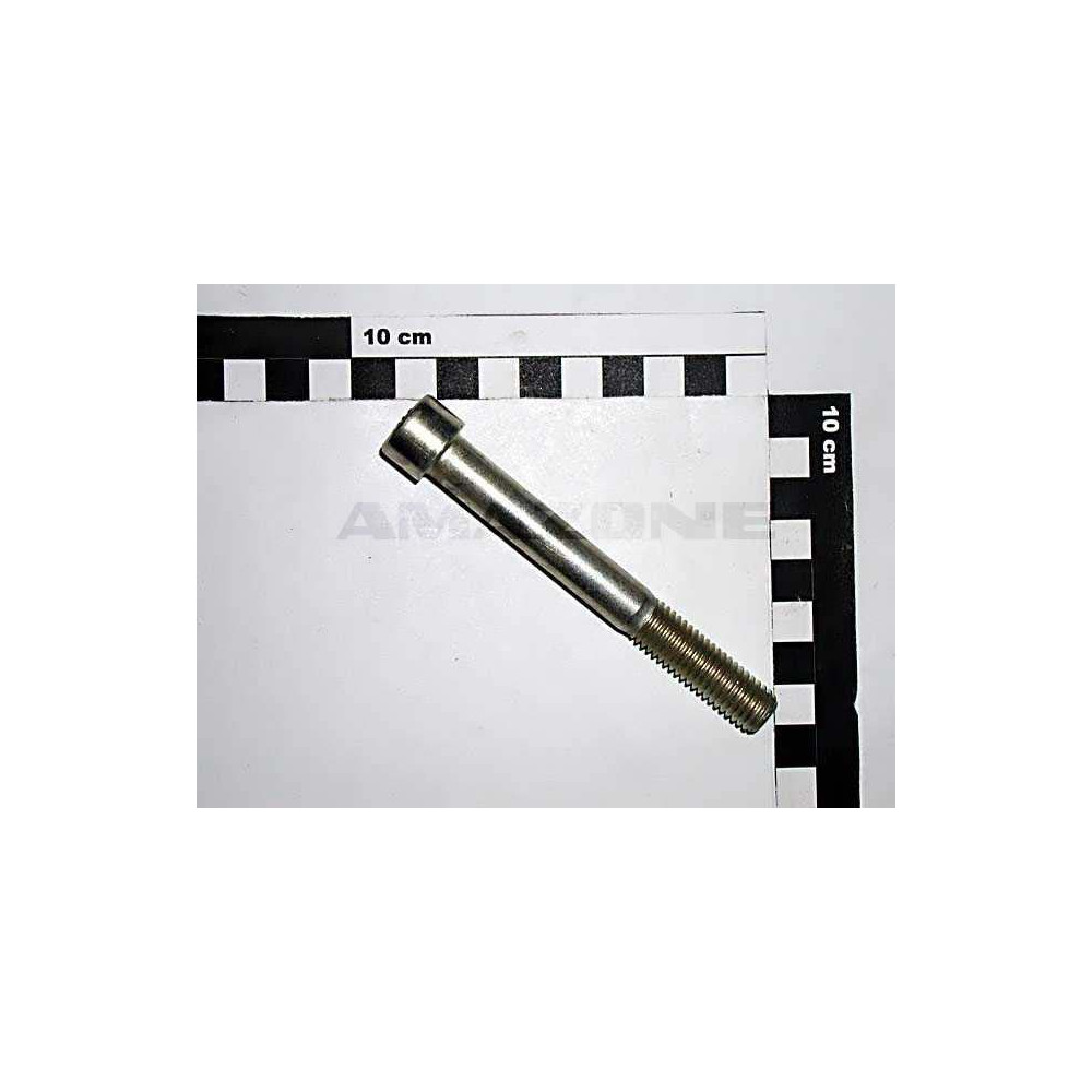 Vis 12X100 10.9 DA564 Amazone