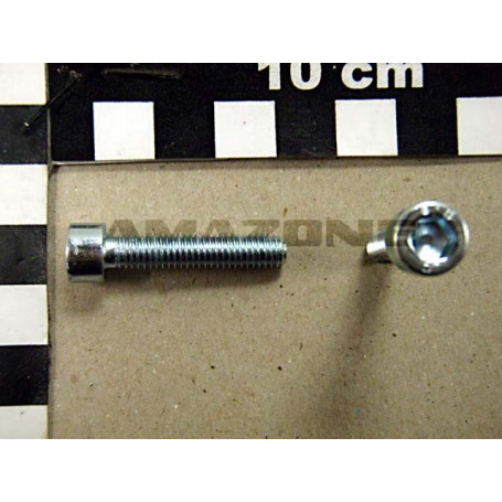 VIS 06X 30 4762  8.8 A2G Réf. DA571 AMAZONE
