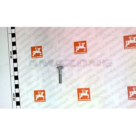 Vis 06X 35 8677 8.8 A2G DA575 Amazone