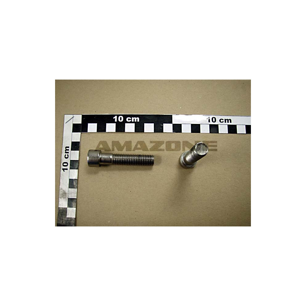 Vis 12X150 4762 A2-70 DA588 Amazone