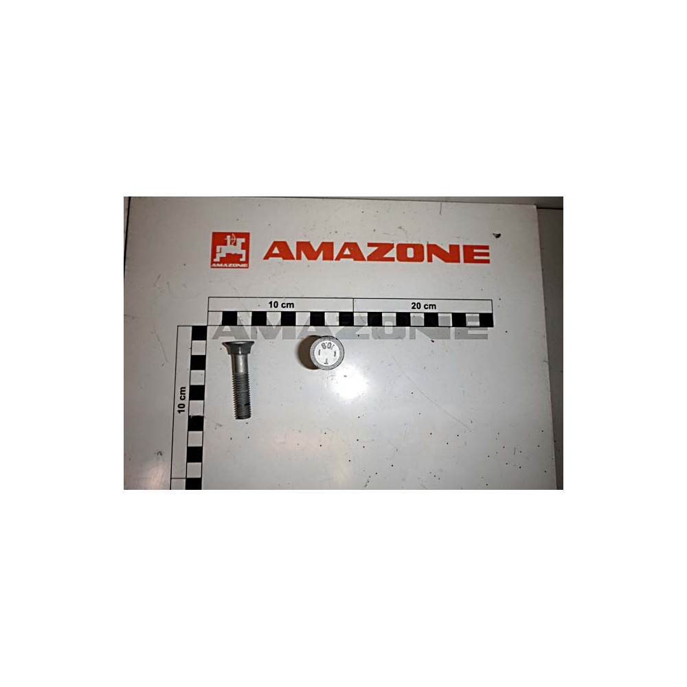 Vis 10X 50 608 10.9 DA591 Amazone