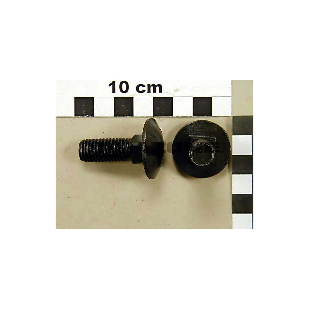 Vis A tete ronde 12 X 35 DA592 Amazone