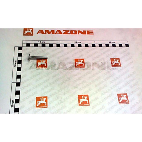 VIS 06X 45 8677 A2-70 Réf. DA590 AMAZONE VIS 06X 45 8677 A2-70 Réf. DA590 AMAZONE