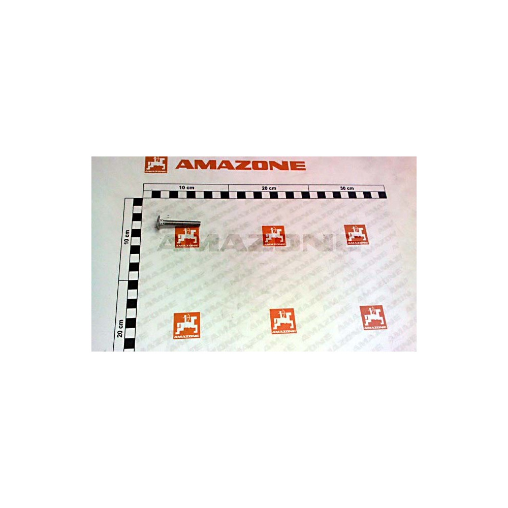 Vis 06X 45 8677 A2-70 DA590 Amazone