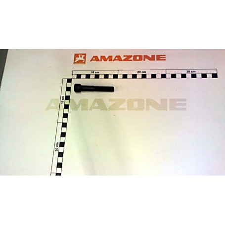 Vis cylindrique Réf. DA597 - AMAZONE Vis cylindrique Réf. DA597 - AMAZONE