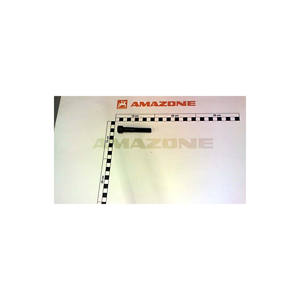 Vis cylindrique DA597 Amazone