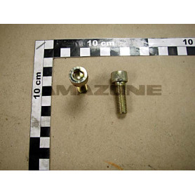 Vis 10X 30 4762 8.8 A2G DA638 Amazone