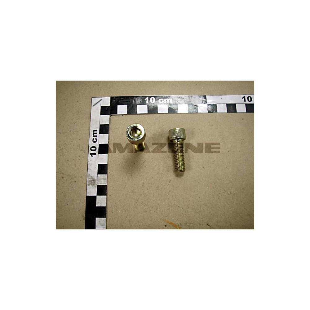 Vis 10X 30 4762 8.8 A2G DA638 Amazone