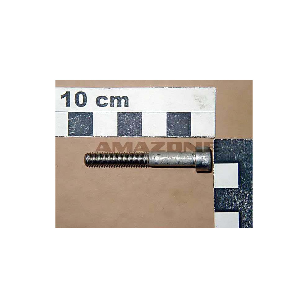 Vis 6X45 A2-70 UX DA659 Amazone