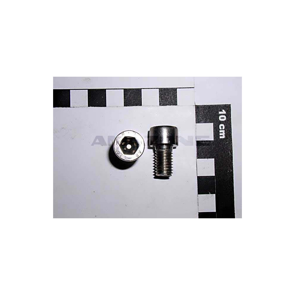 Vis 10X16 UX DA663 Amazone