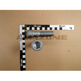 Vis 20X80 10.9 4767 DA658 Amazone