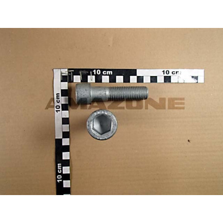 VIS 20X80 10.9 4767 Réf. DA658 AMAZONE VIS 20X80 10.9 4767 Réf. DA658 AMAZONE