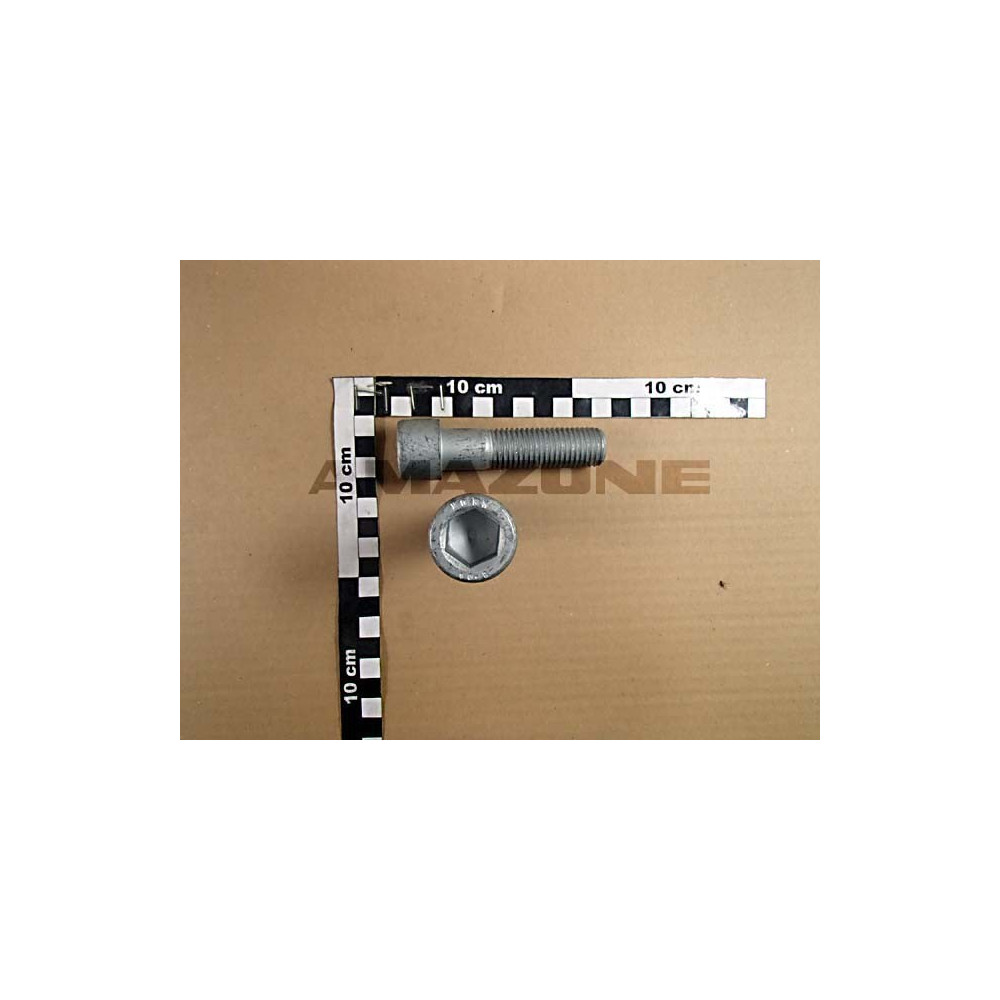 Vis 20X80 10.9 4767 DA658 Amazone