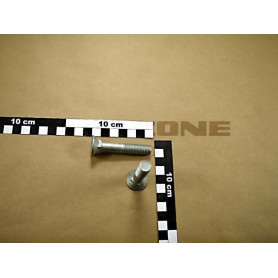 Vis 12X 65 608 10.9 DA686 Amazone
