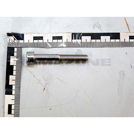 VIS 08X 45 4762 A2-70 Réf. DA695 AMAZONE