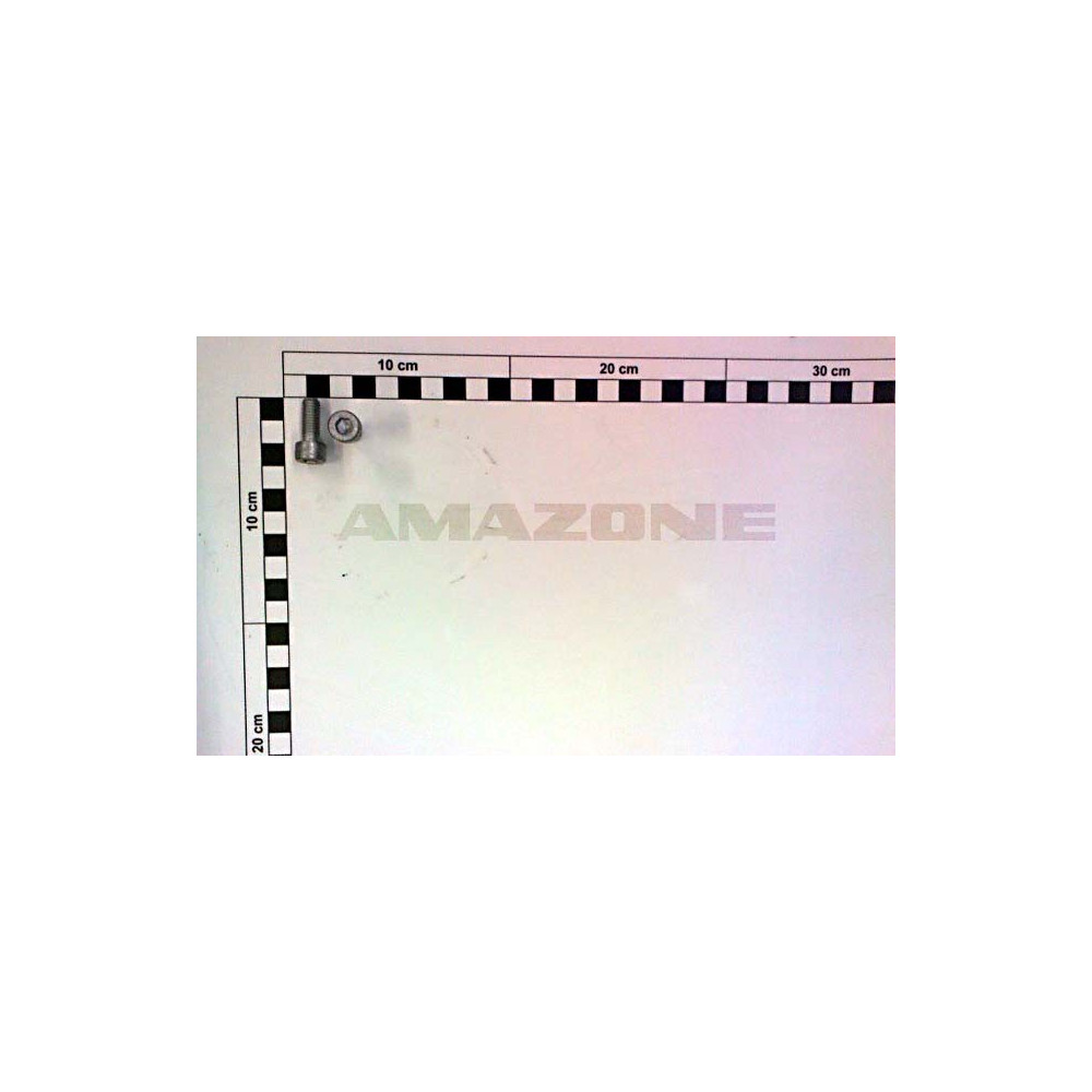 Vis 08X 20 4762 10.9 FLZNL-480H DA718 Amazone