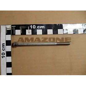 Vis 6 X 100 DA726 Amazone