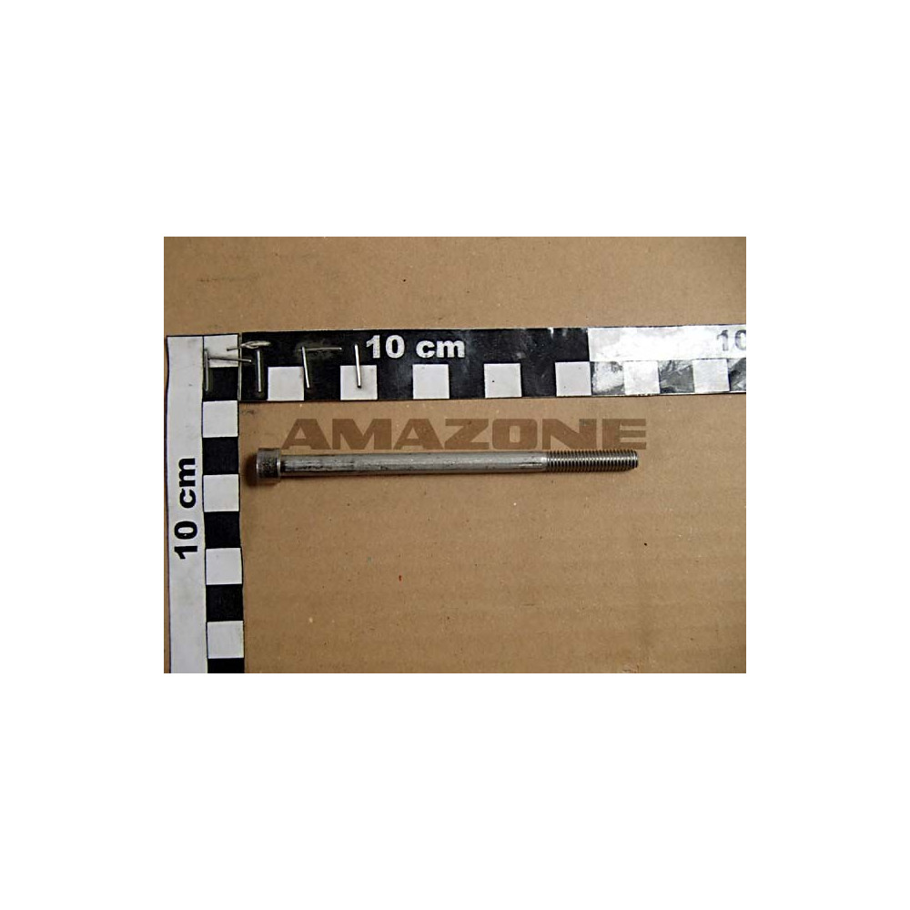 Vis 6 X 100 DA726 Amazone