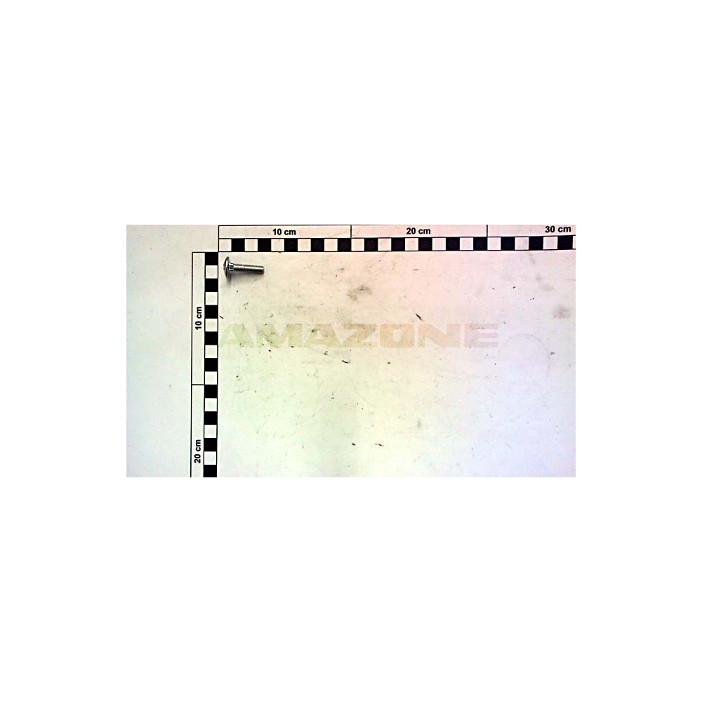 Vis 6 X 25 DA733 Amazone