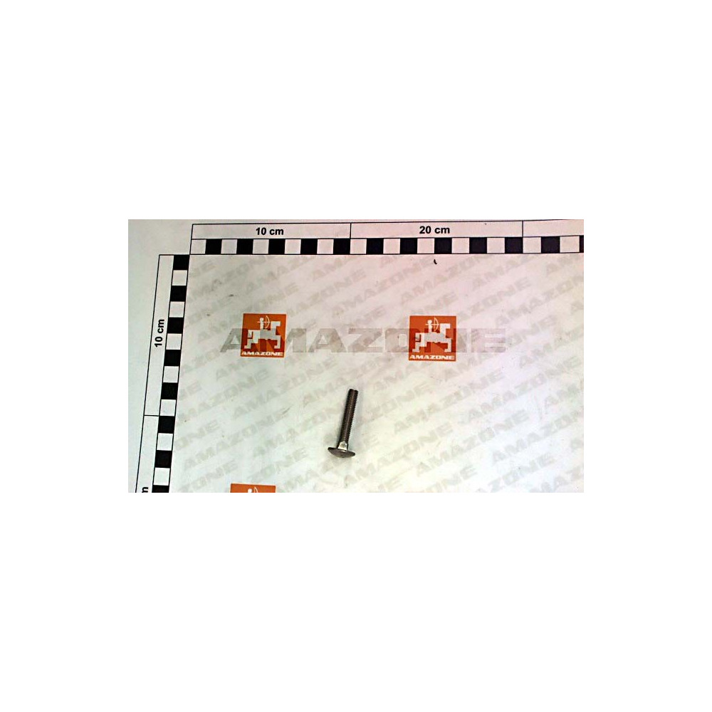 Vis 6 X 35 DA761 Amazone