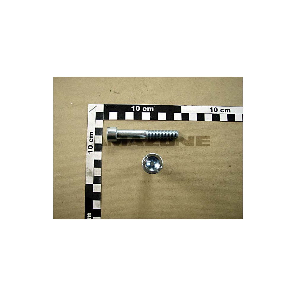 Vis 12X75 A2G DA767 Amazone