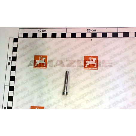 Vis 6X40 A2-70 Réf. DA772 - AMAZONE Vis 6X40 A2-70 Réf. DA772 - AMAZONE